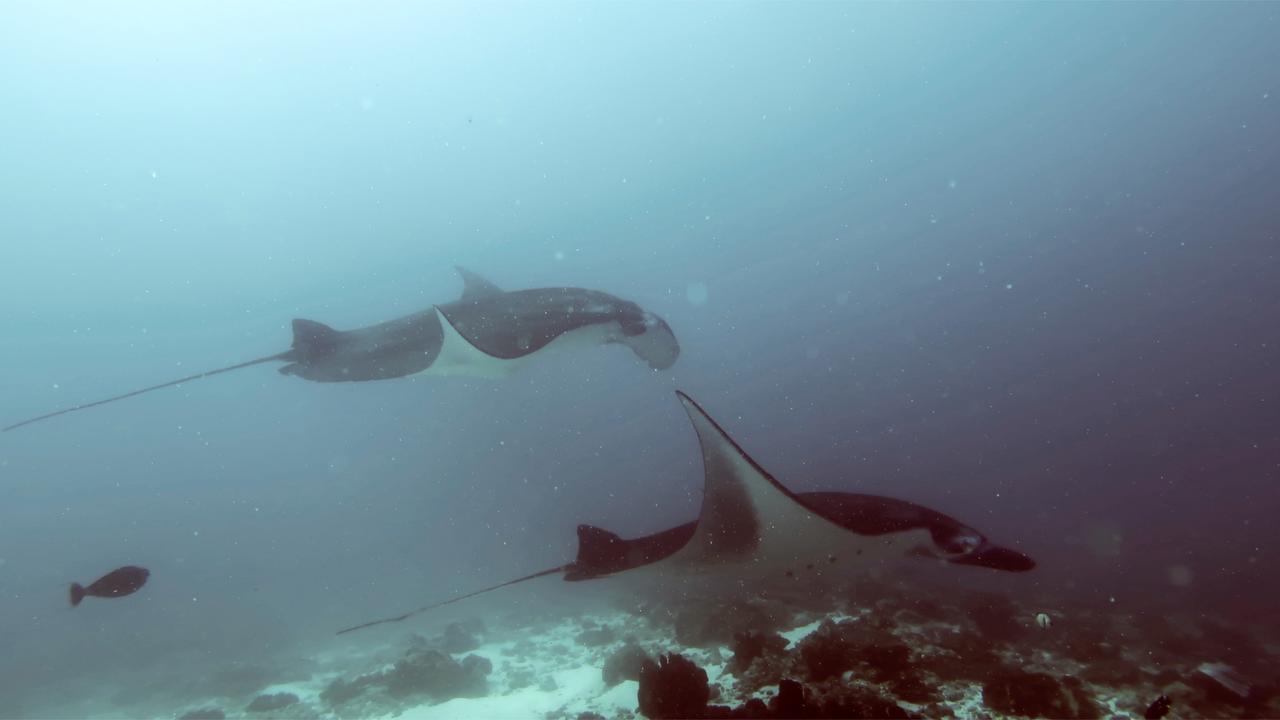פדנגבאי Absolute Scuba Bali Dive Resort מראה חיצוני תמונה